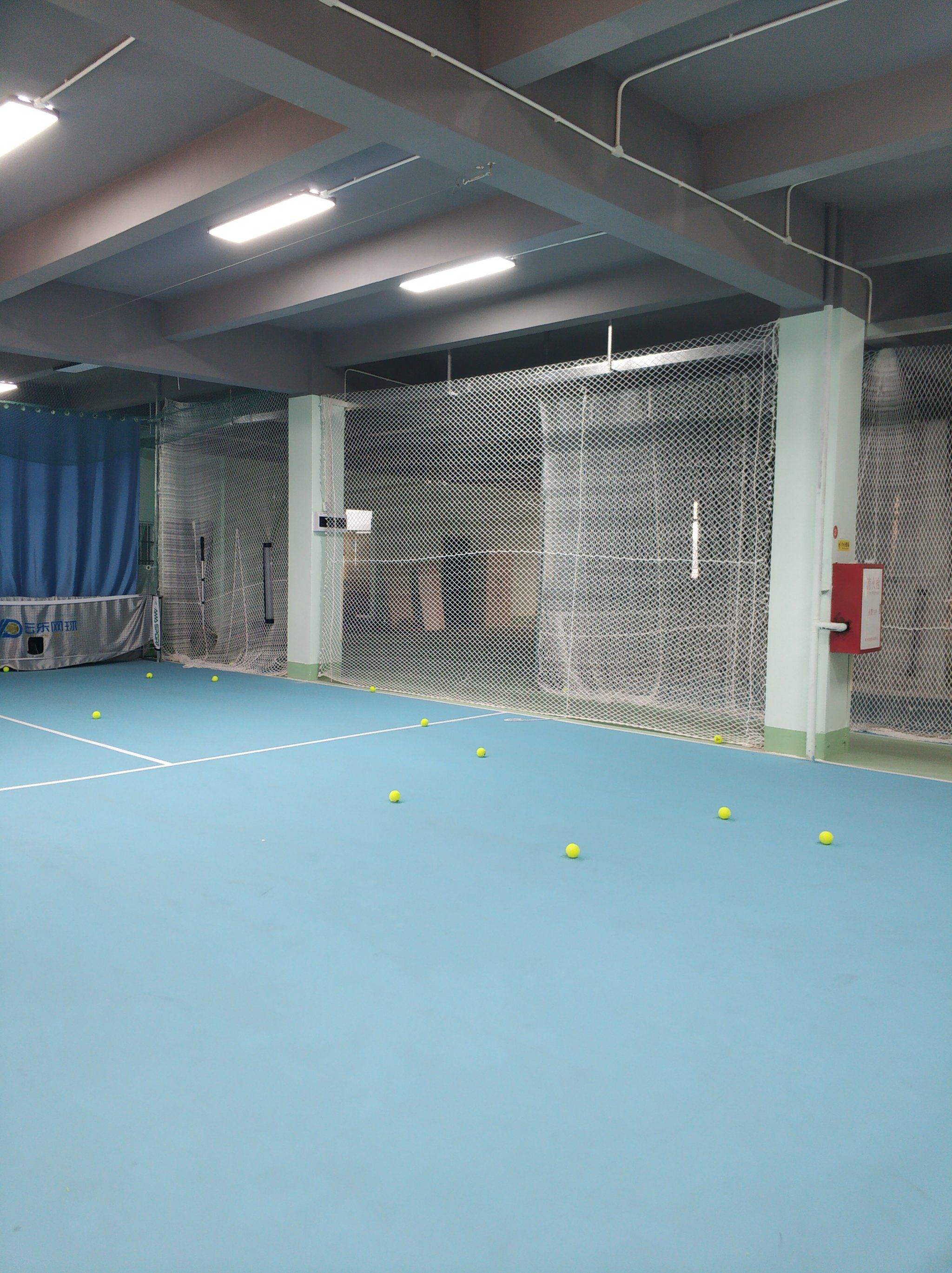 的特点和潜 的特点和潜