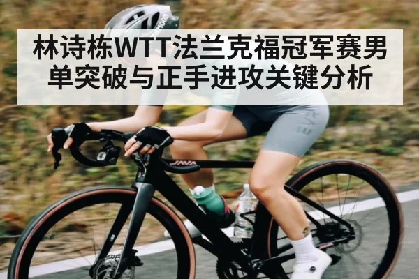 林诗栋WTT法兰克福冠军赛男单突破与正手进攻关键分析
